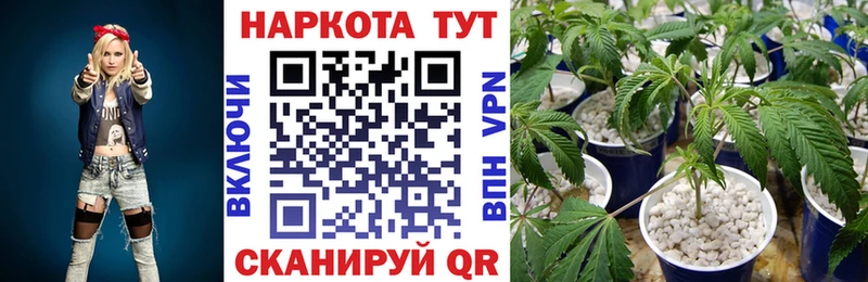 Где можно купить наркотики Заозёрск Галлюциногенные грибы  Кокаин 