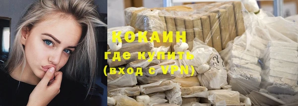 ГАЛЛЮЦИНОГЕННЫЕ ГРИБЫ Арсеньев