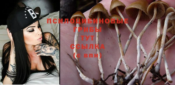 ГАЛЛЮЦИНОГЕННЫЕ ГРИБЫ Арсеньев