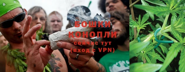 ГАЛЛЮЦИНОГЕННЫЕ ГРИБЫ Арсеньев